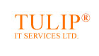 Tulip IT Services